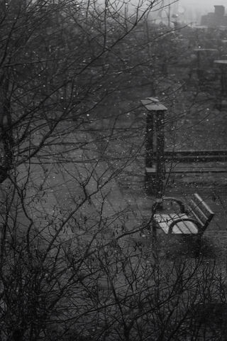Bench Covered By Snow