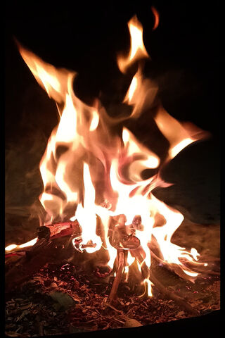 Dancing Flames 🔥✨