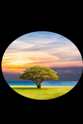 Serene Sunset by the Sea 🌅🌳