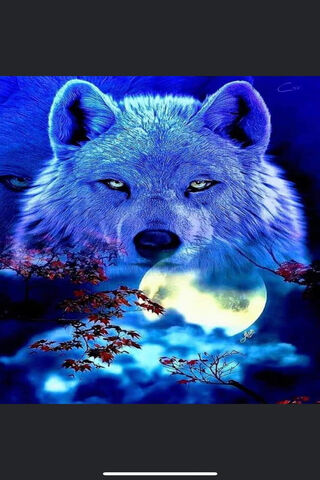 Mystical Blue Wolf Unde..