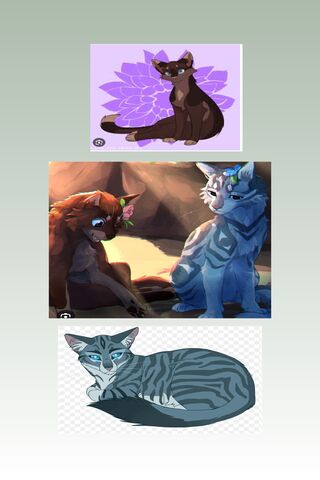BriarLight&Jayfeather!
