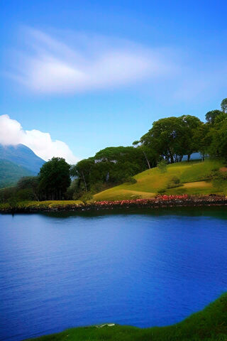 Tranquil Lakeside Seren..