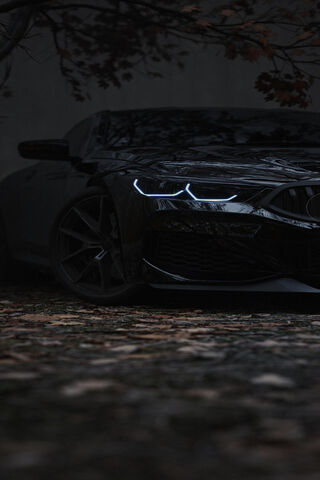 Mysterious Midnight Rid..