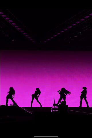 Silhouettes in the Spot..