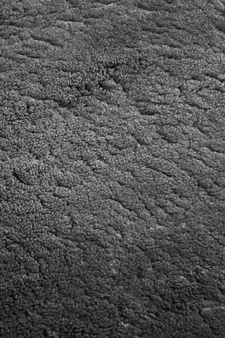 Textured Terrain 🌌