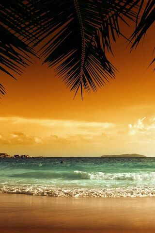 Sunset Serenity 🌅