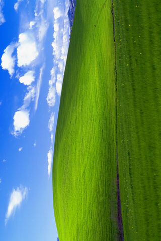 Lush Green Hills Under a Bright Sky 🌿☁️