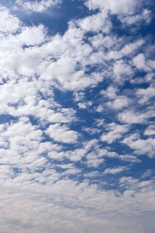 Bule Sky