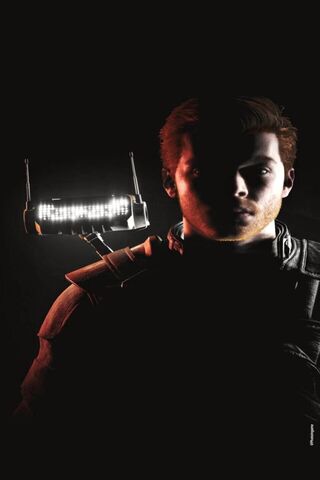 Mysterious Hero in Shad..