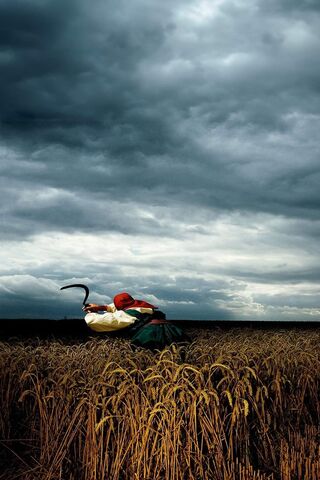 Harvest Time 🌾🌥️