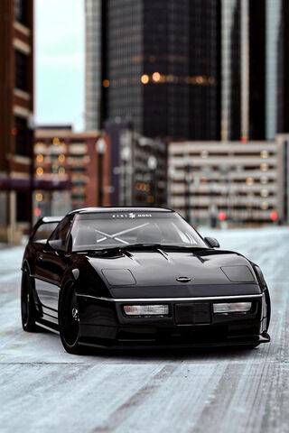 Sleek Black Beauty on t..
