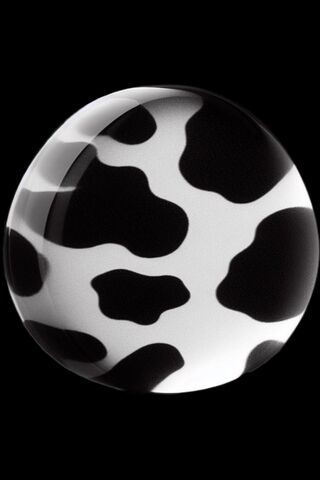 Cow Print Delight 🐄✨