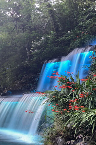 Mystical Cascade: Nature's Glow 🌊✨