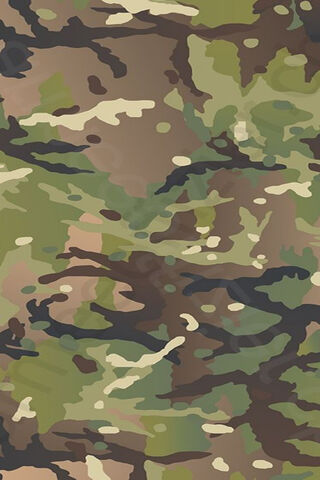 Camouflage Patterns in Nature 🌿