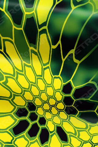Vibrant Honeycomb Patte..