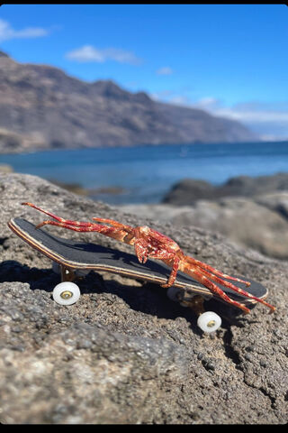 Crustacean Skateboarder 🦀🛹
