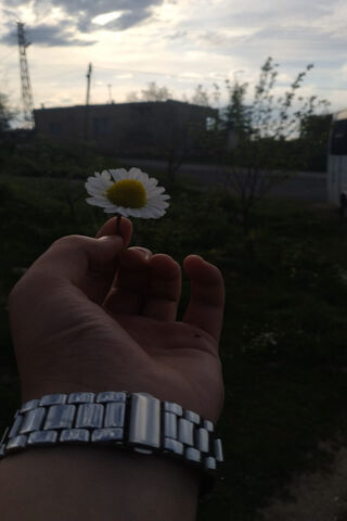 A Simple Moment of Beau..