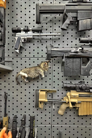 Feline Firepower: A Pur..