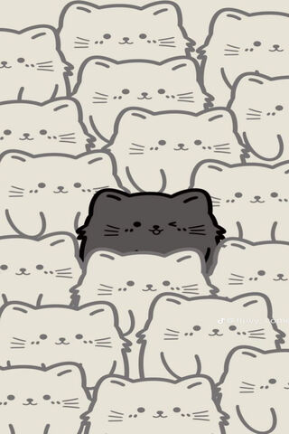 The Unique Kitty Amongs..