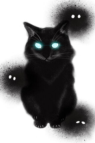 Mysterious Midnight Cat..