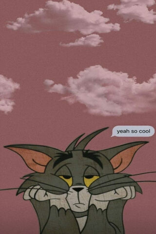 Tom's Chill Vibes 😺☁️