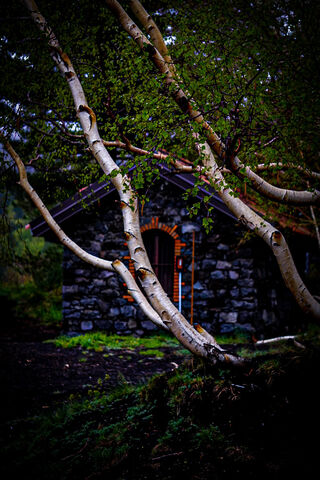 Enchanted Stone Cottage..