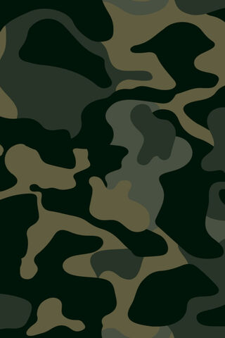 Camouflage Pattern