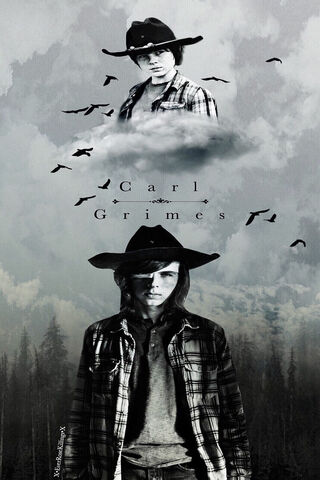 Carl Grimes: A Journey ..