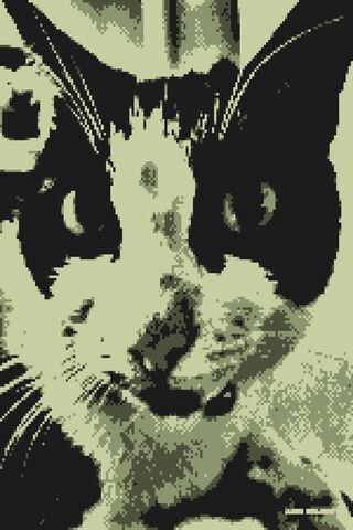 Pixel Purrfection 🐾