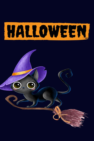 Spooky Cat on a Broomstick 🐾🎃