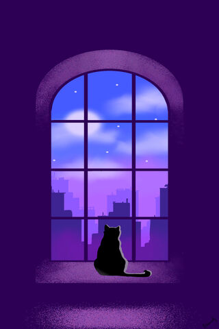 Cat On The Window