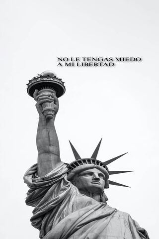 Embracing Freedom: The Statue of Liberty 🇺🇸