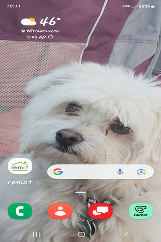 Adorable Fluffy Compani..