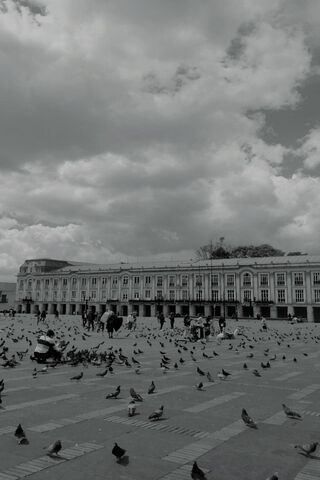 A Serene Day at the Pla..
