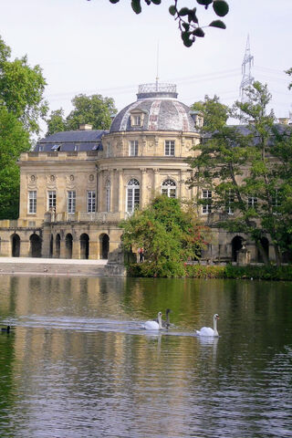 Serene Reflections at t..