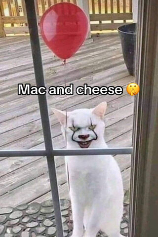 Creepy Cat with a Balloon