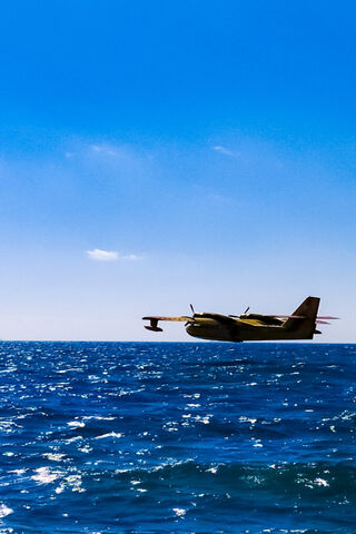 Soaring Above the Waves..
