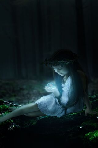 Enchanted Forest Dream ..