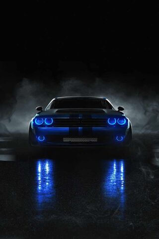 Night Rider: The Blue B..
