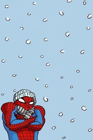 Spidey in the Snow ❄️🕷️
