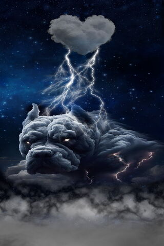 Cane Corso Colud