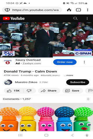 Rally Time! 🎤🇺🇸