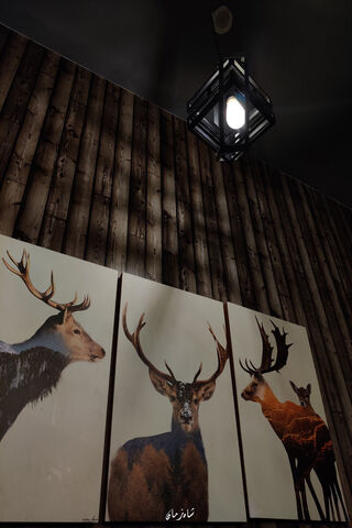 Majestic Deer Art 🦌✨