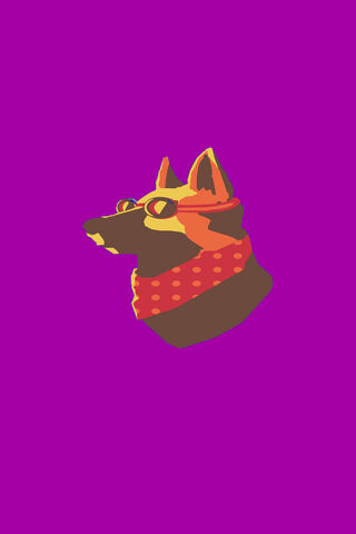 Cool Canine Vibes 🐶😎
