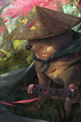 The Serene Samurai Pup ..