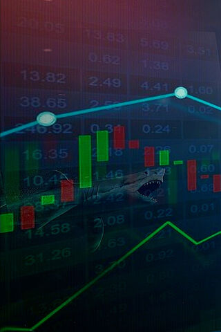 Shark Market: Navigatin..