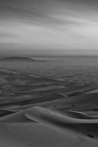 Serene Sands: A Monochrome Desert Landscape 🌵🌌