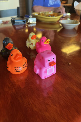 Quirky Rubber Duck Para..
