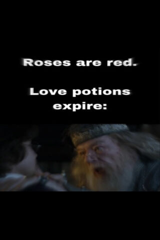 Love Potions and Poetry 💖✨