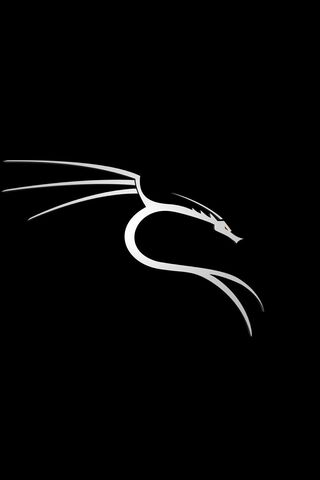 Sleek Dragon Silhouette..